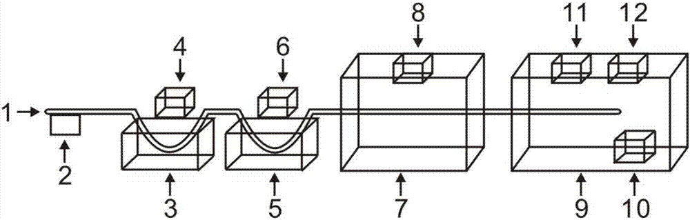 Automatic device for fruit and vegetable preservation treatment