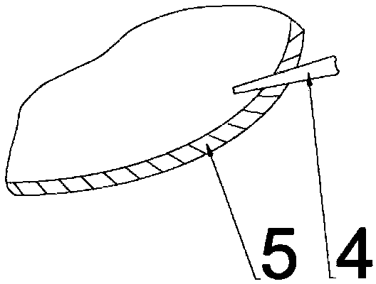 Jet flow diffusion type unpolished rice washing and sprouting device