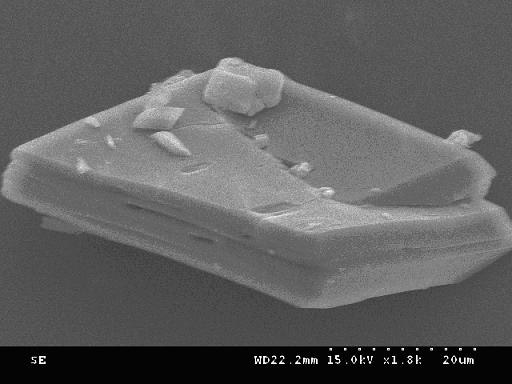 Preparation of beta-cyclodextrin sustained-release microcapsule of forestry insect repellant (E)-2-hexenal and determination method