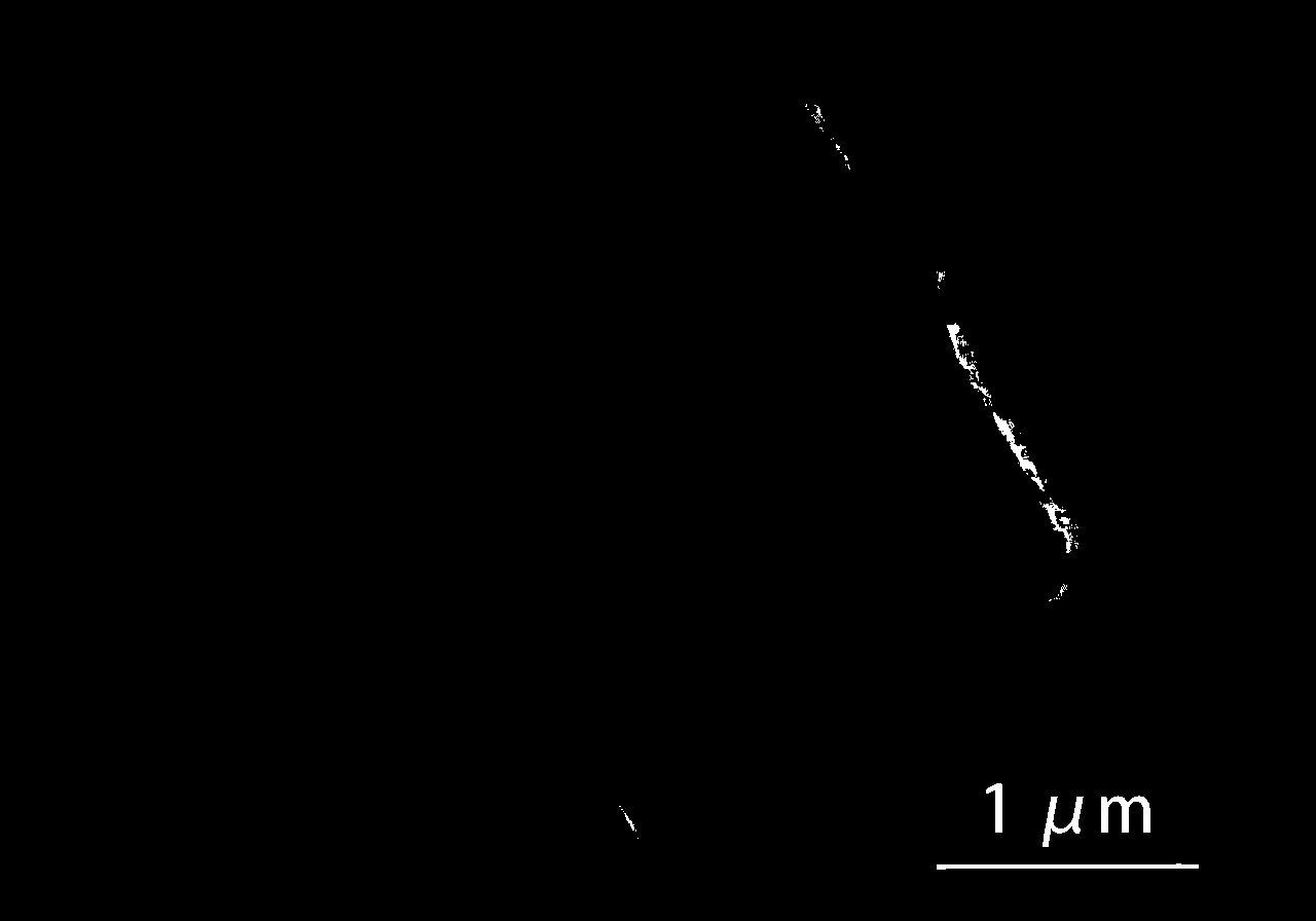 Preparation method of loading iron based metal organic skeleton out phase Fenton catalyst and application thereof