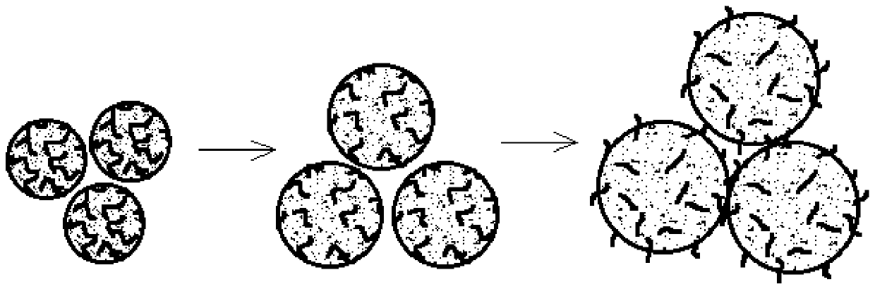 Multidirectional repair treatment method based on uranium-contaminated water body