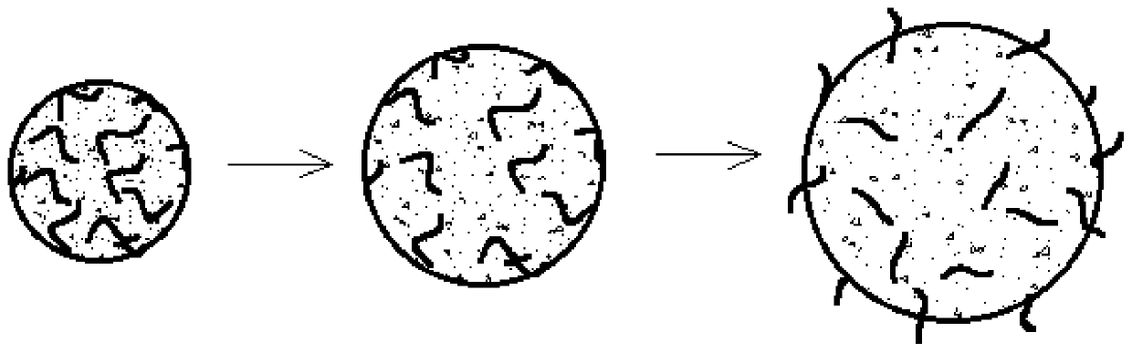 Multidirectional repair treatment method based on uranium-contaminated water body