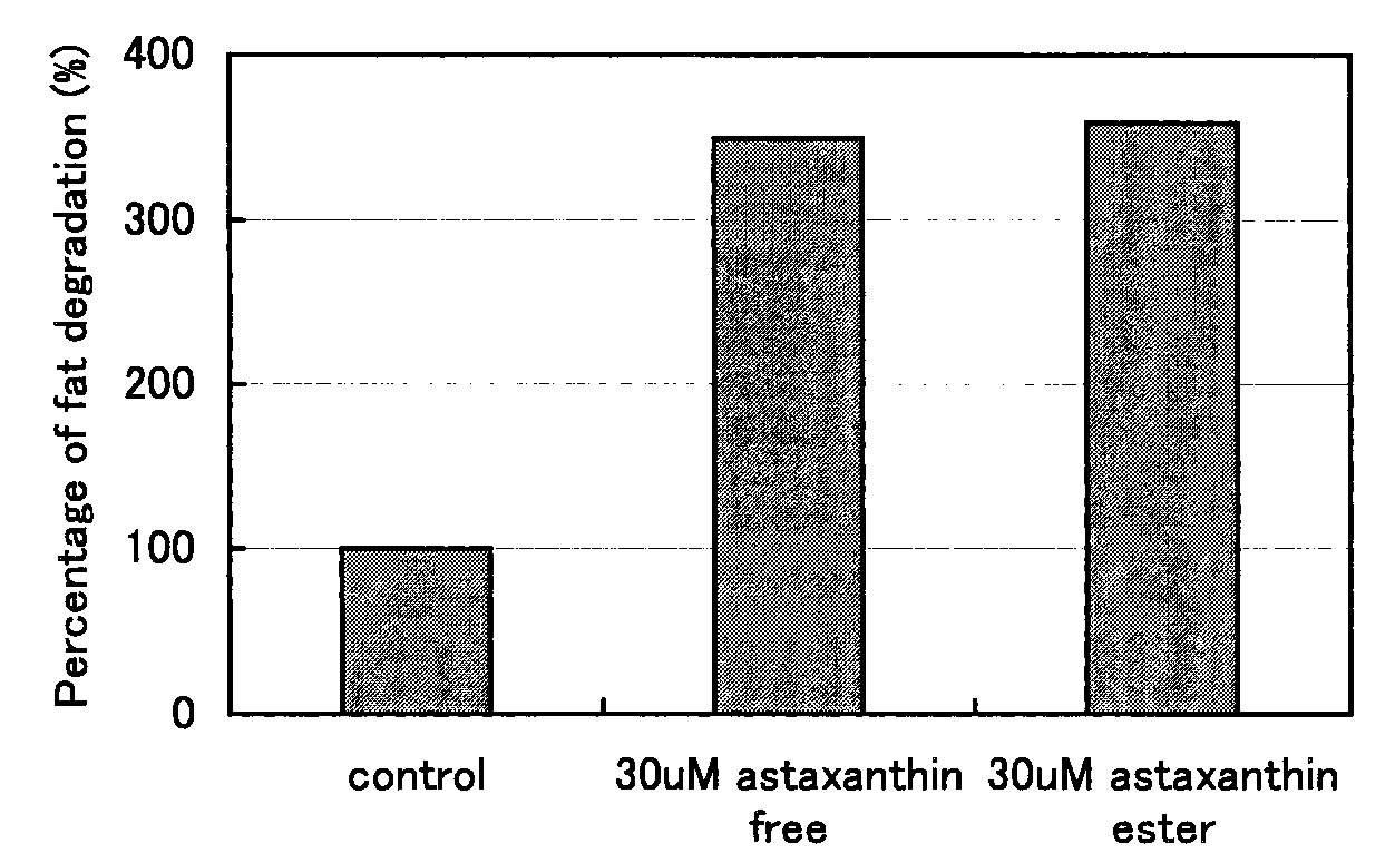 A Method for Promoting Fat Degradation