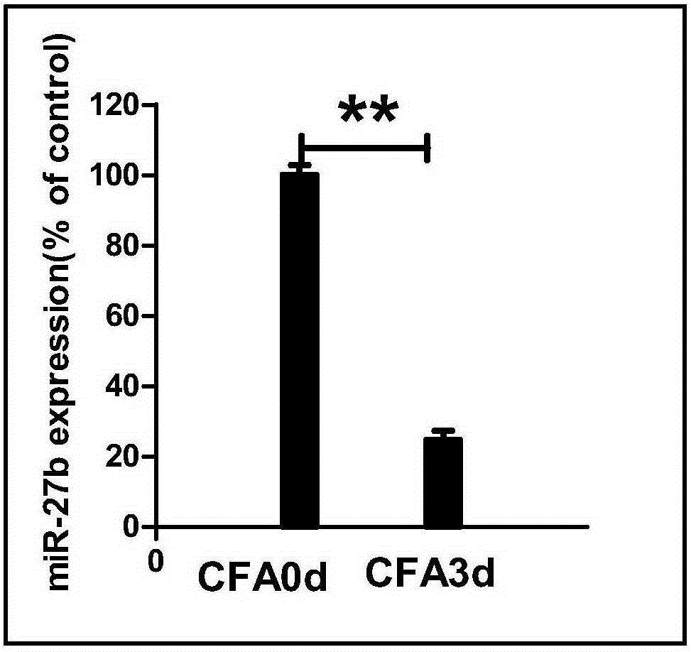 Use of mir-27b compound as marker of chronic pain and use in preparation of medicine for treating chronic pain