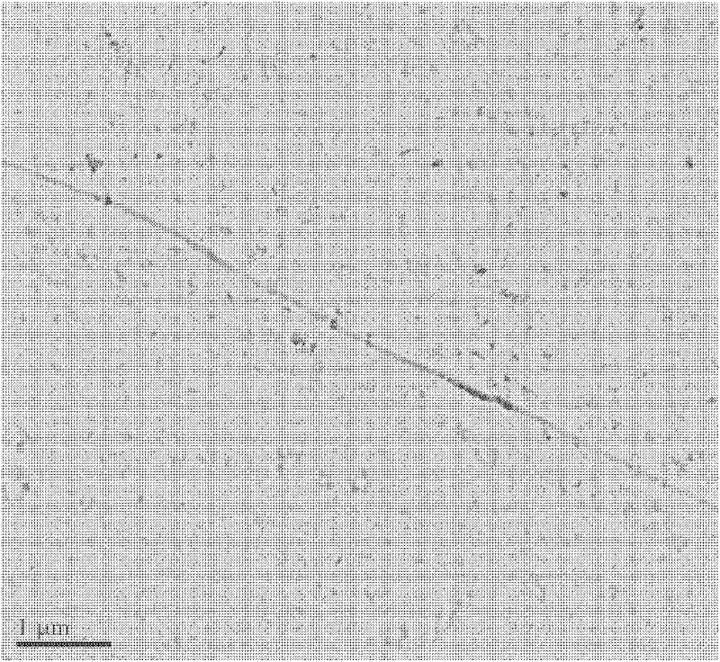 Production method for high-grade non-oriented silicon steel