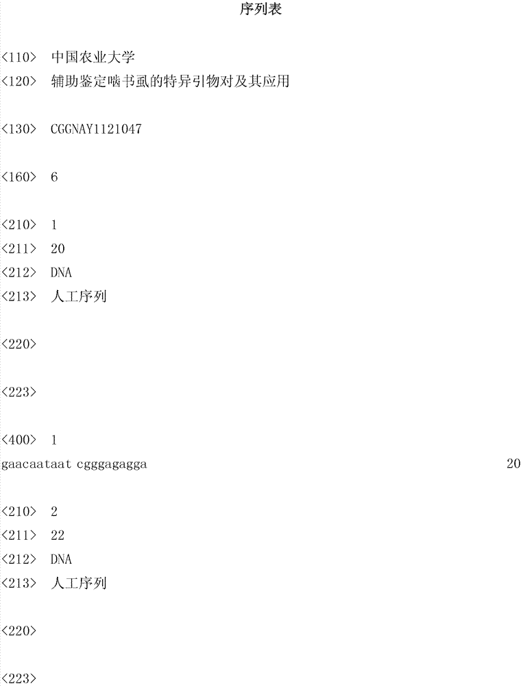 Specific primer pair for assisting booklice identification and application thereof