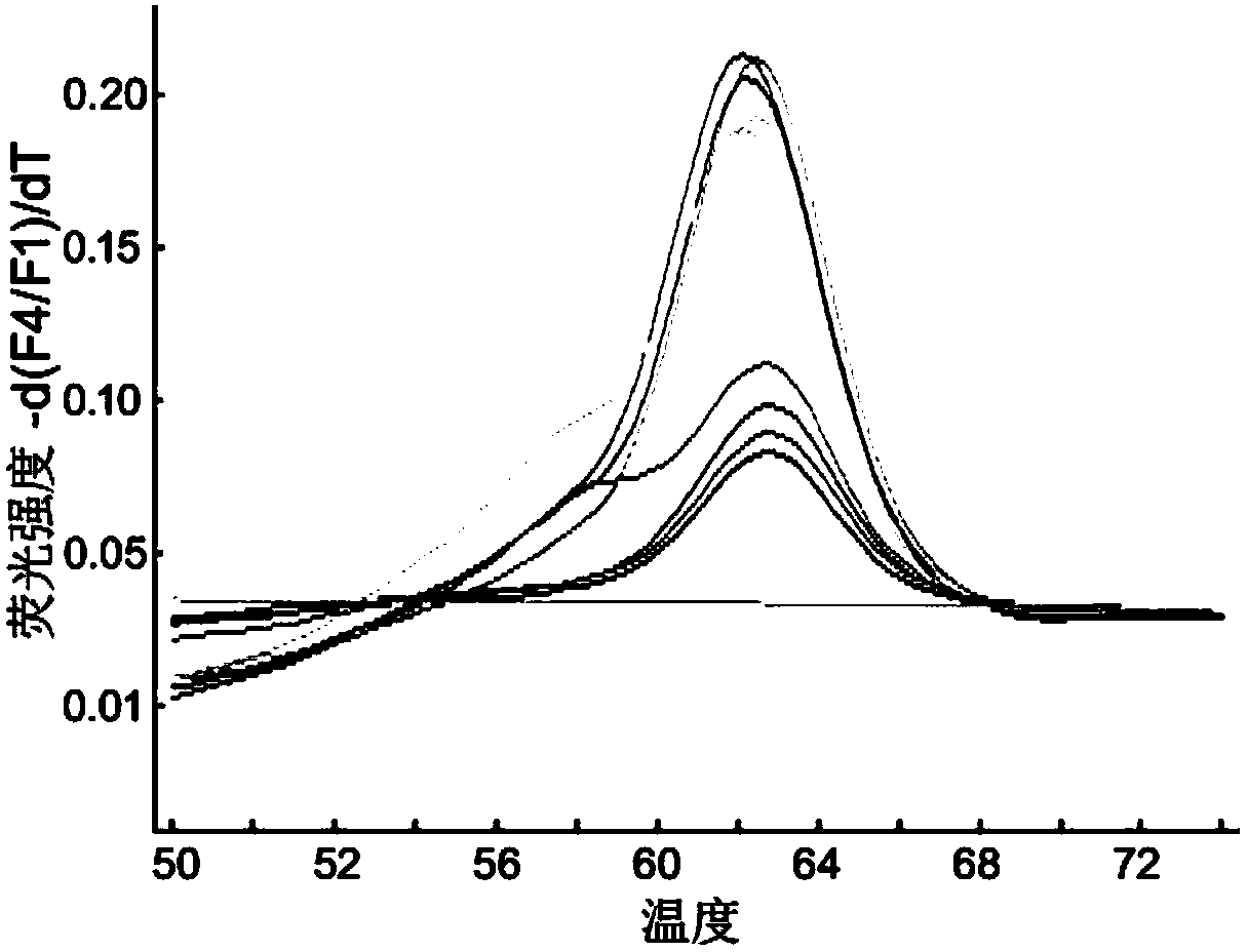 Fluorescent quantitative PCR (Polymerase Chain Reaction) primer, probe and kit for detecting dirofilaria immitis