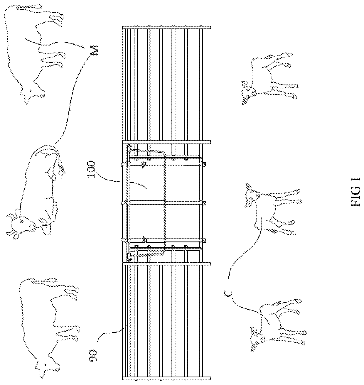 Method and Device for Weaning Calves