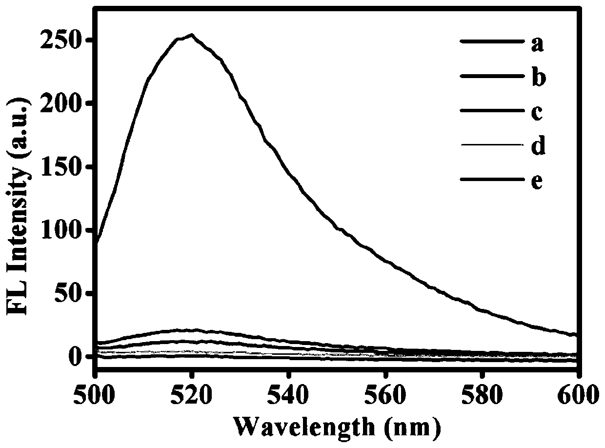 Fluorescent biosensor to detect BRCA1 gene and preparation method thereof