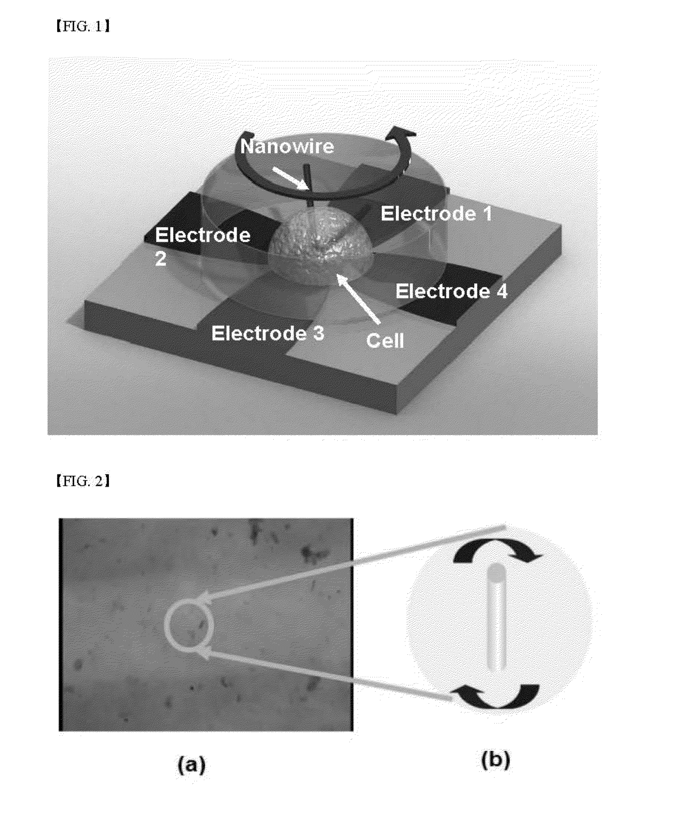 Spinning nanowires and method for inducing cell eradication using same