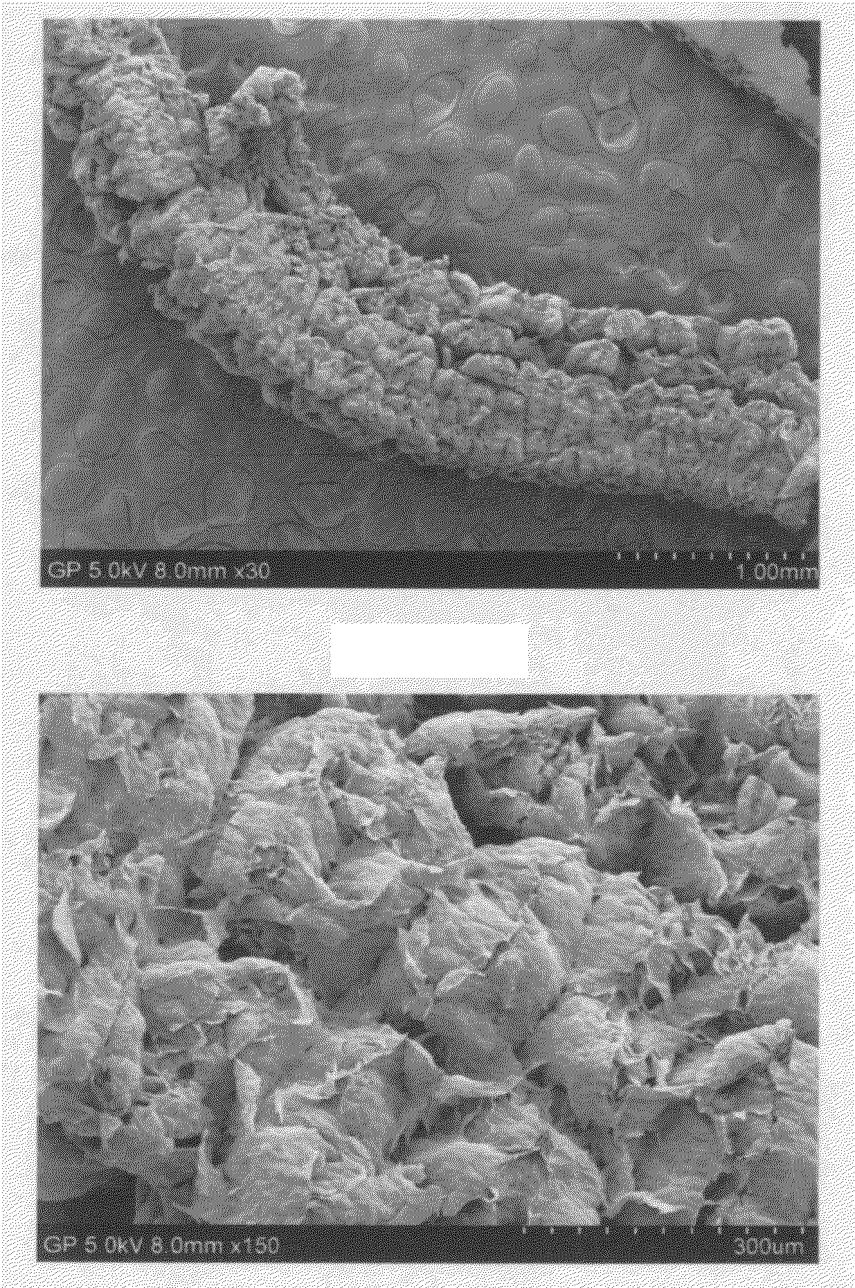 Lithium-sulfur secondary battery containing gradient electrolyte