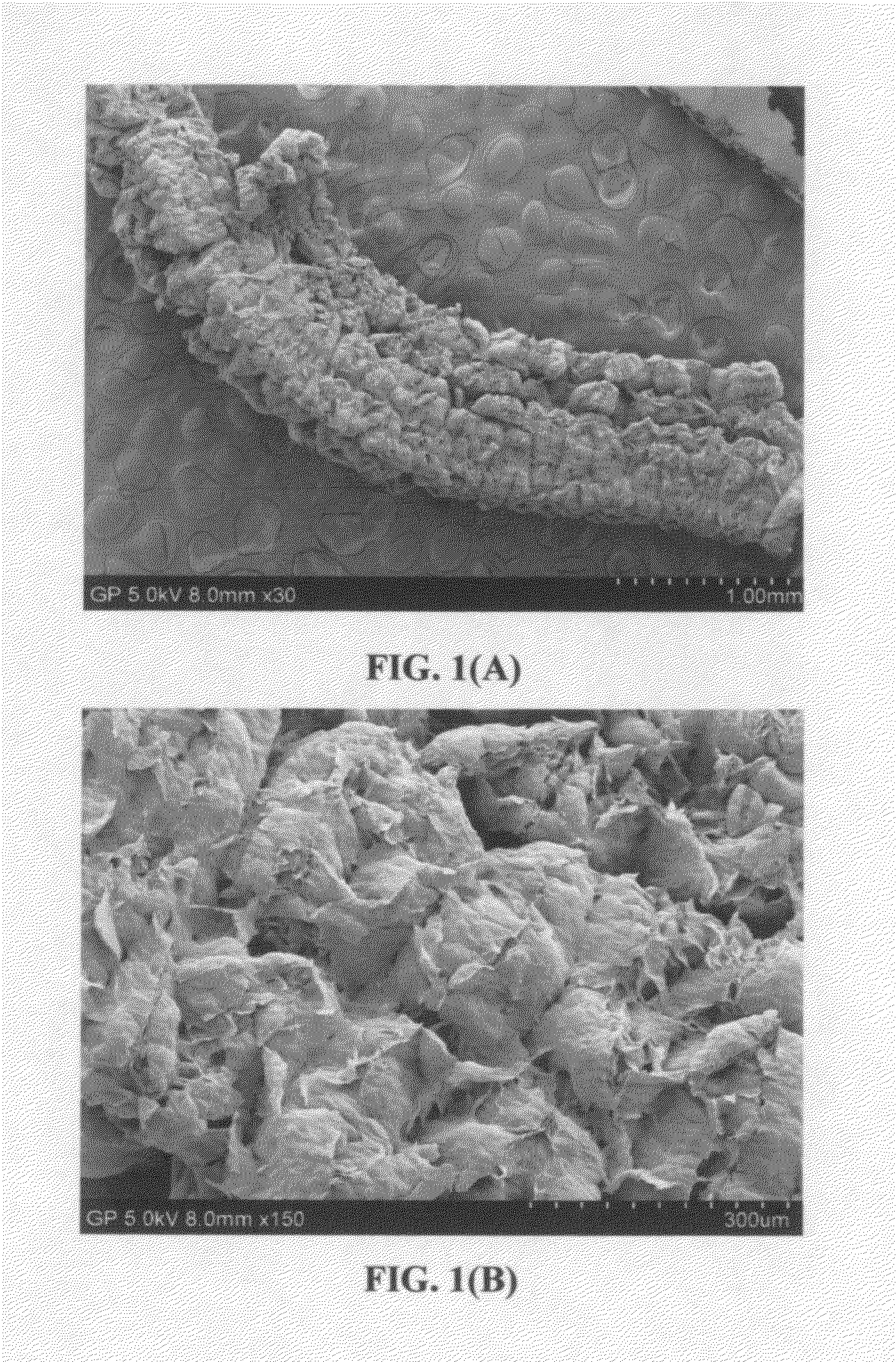 Lithium-sulfur secondary battery containing gradient electrolyte