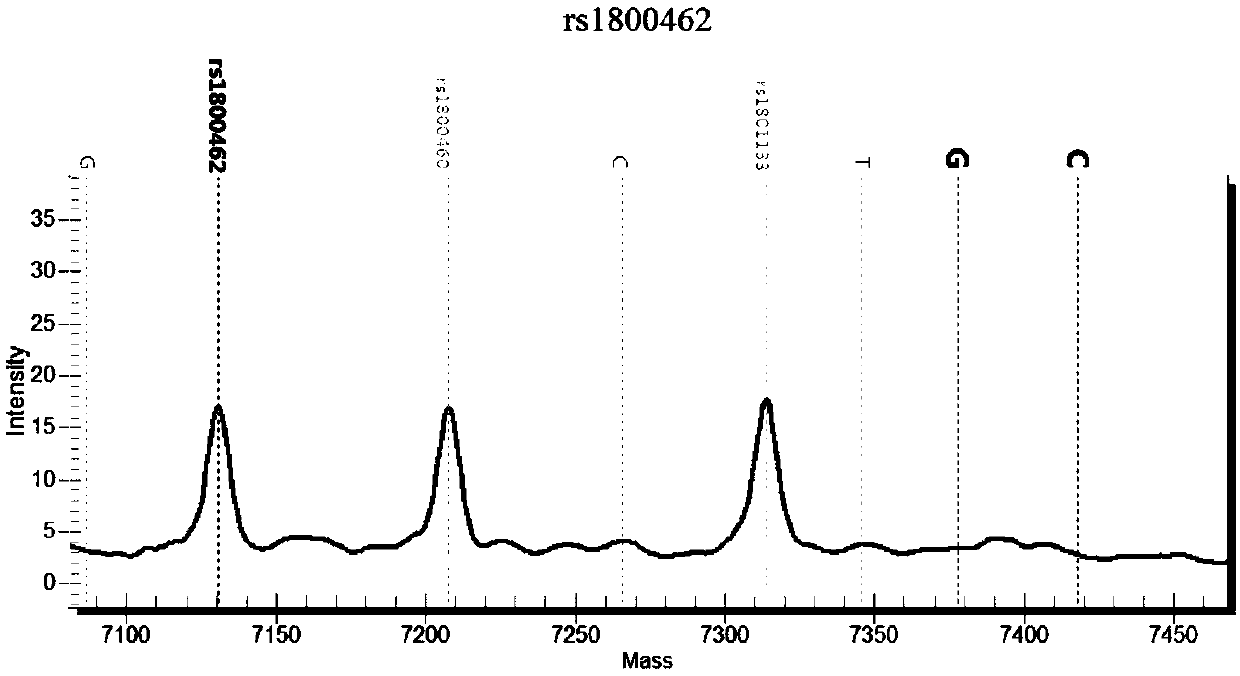 Nucleic acid group suitable for detection of SNP sites of tumor drug-related genes and application