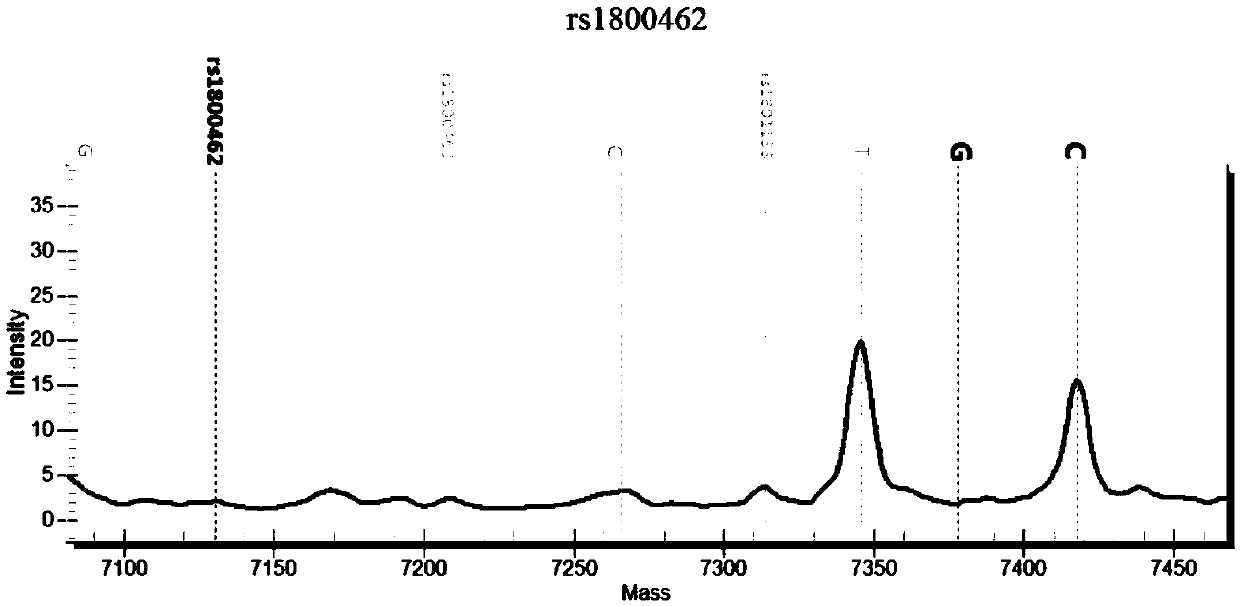 Nucleic acid group suitable for detection of SNP sites of tumor drug-related genes and application