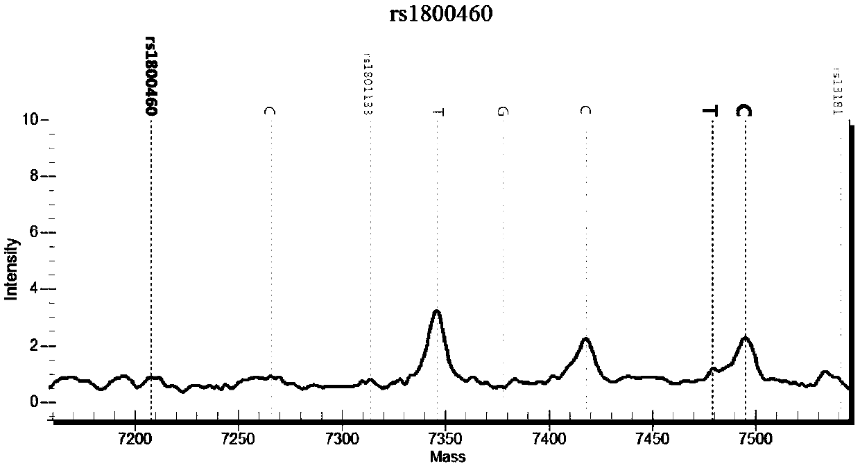 Nucleic acid group suitable for detection of SNP sites of tumor drug-related genes and application