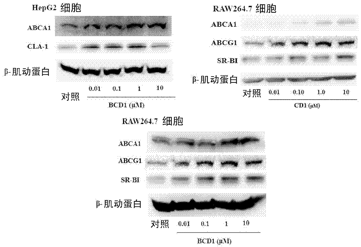 Aryl-substituted amide compounds, preparation method thereof, pharmaceutical composition containing same and application thereof