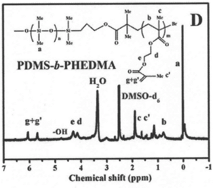 Photocatalysis self-cleaned amphiphilic network ocean anti-flouring coating and preparation method thereof