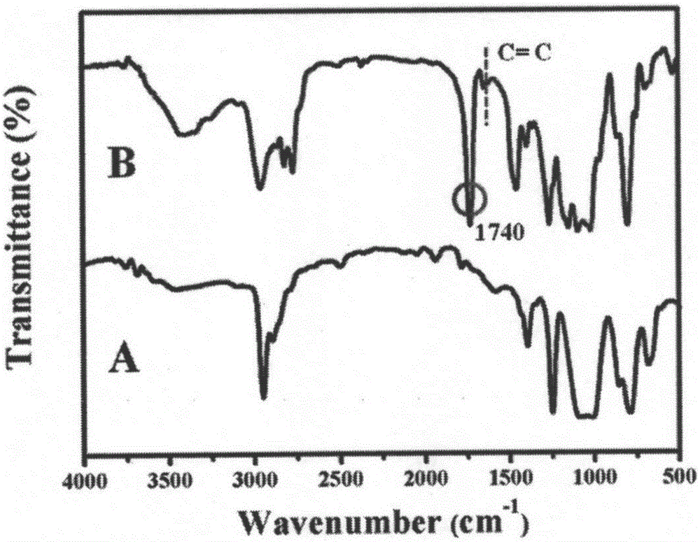 Photocatalysis self-cleaned amphiphilic network ocean anti-flouring coating and preparation method thereof