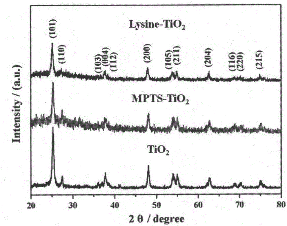 Photocatalysis self-cleaned amphiphilic network ocean anti-flouring coating and preparation method thereof