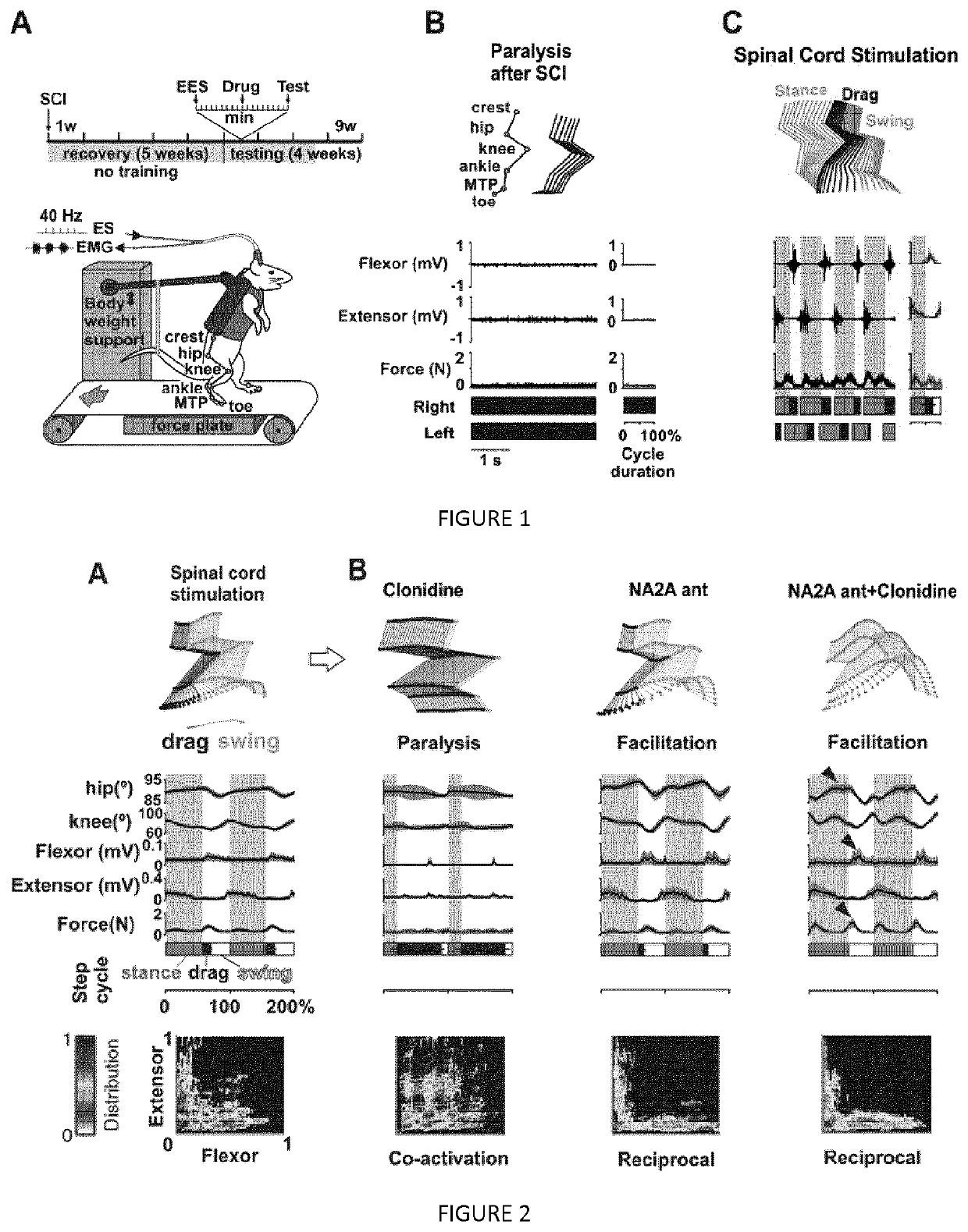 Pharmacological stimulation to facilitate and restore standing and walking functions in spinal cord motor disorders