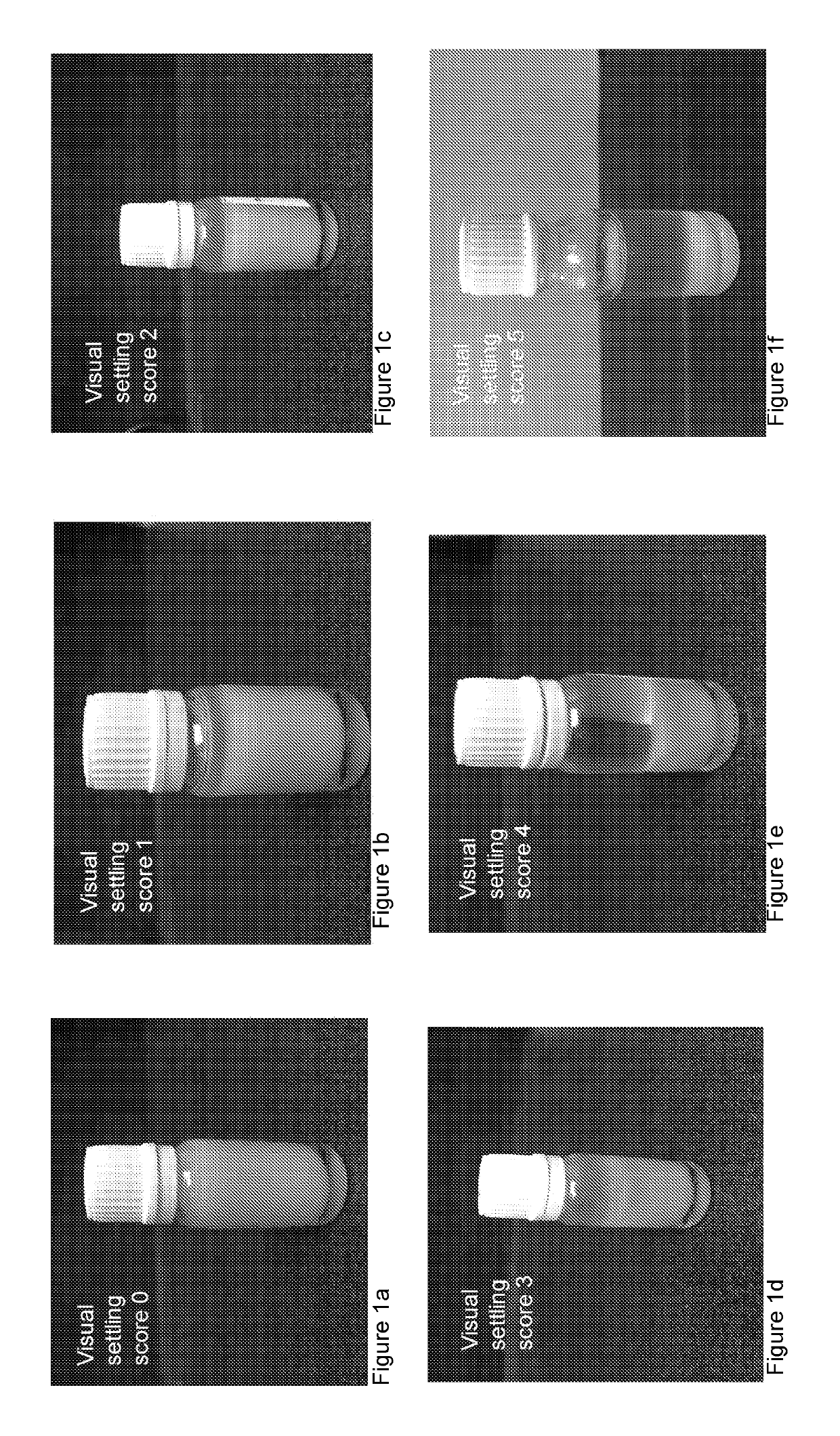 Stable probiotic suspensions