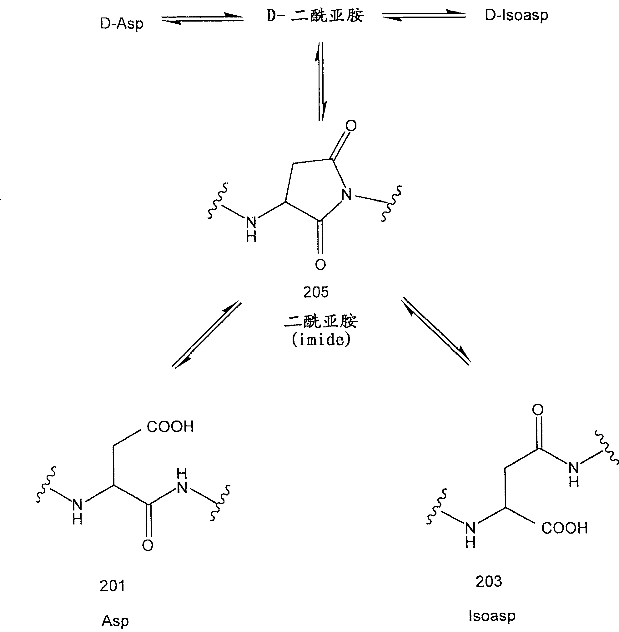 Recombinant interferon-beta with enhanced biological activity