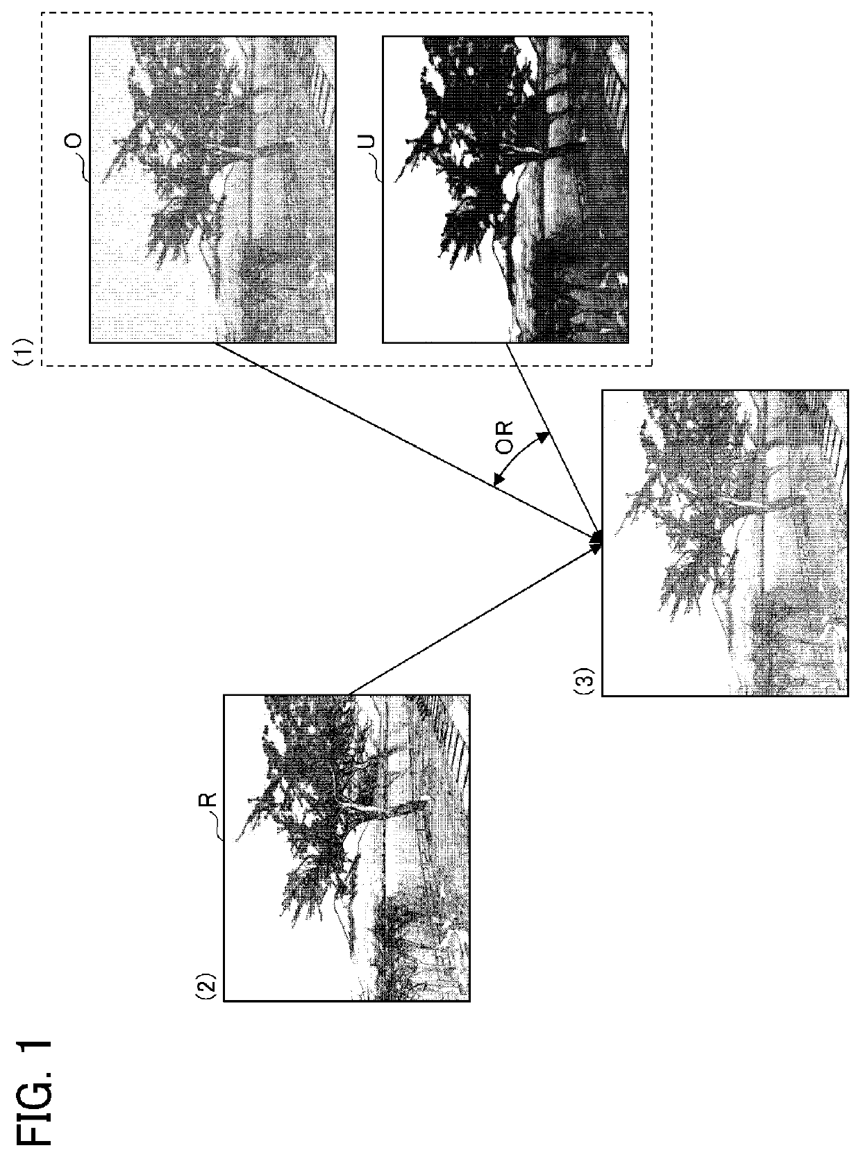 Image processing apparatus, image capturing system, image processing method, and recording medium