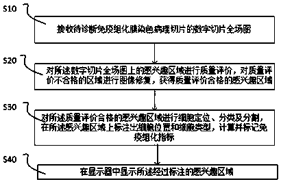 Immunohistochemical membrane staining section diagnosis method and device