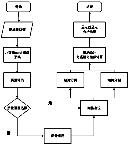 Immunohistochemical membrane staining section diagnosis method and device