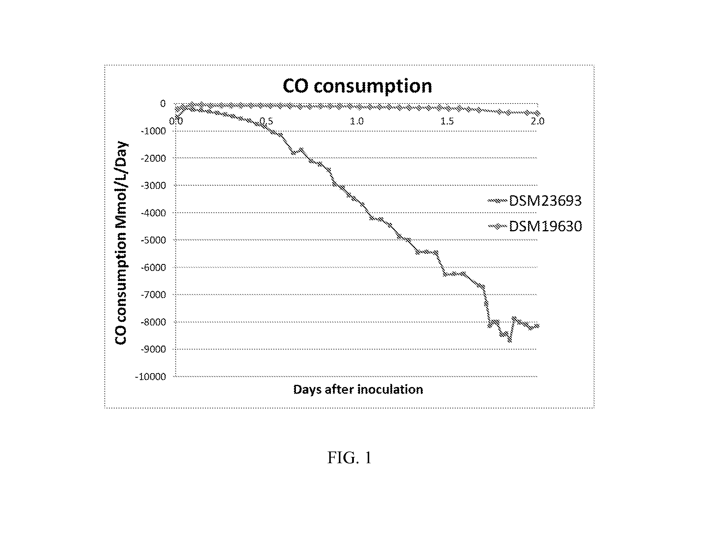 Novel bacteria and methods of use thereof