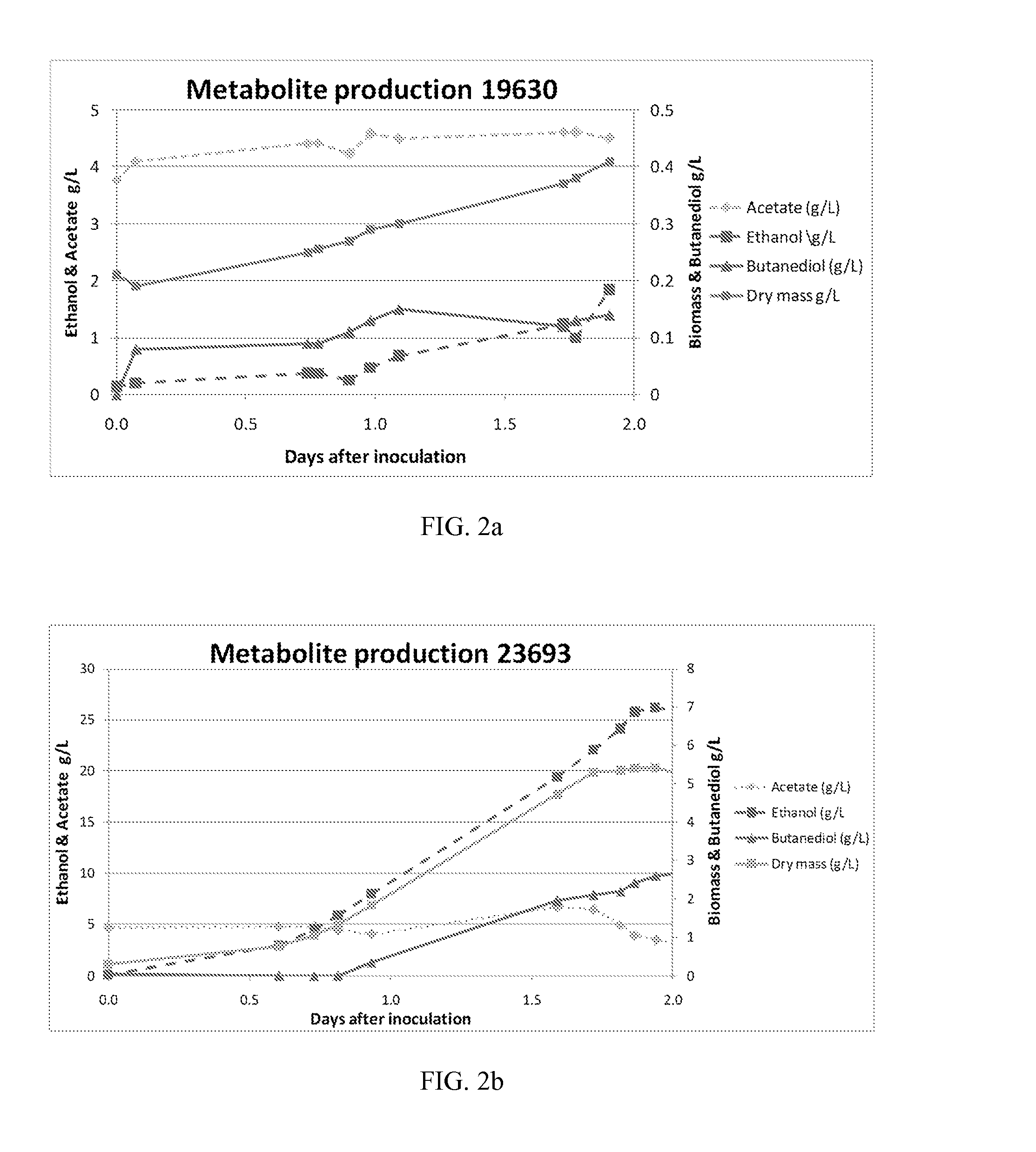 Novel bacteria and methods of use thereof