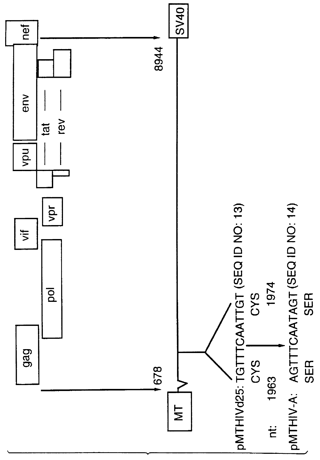 Methods for the detection of HIV-specific immune responses employing non-infectious, non-replicating, HIV retrovirus-like particles containing heterologous antigenic markers