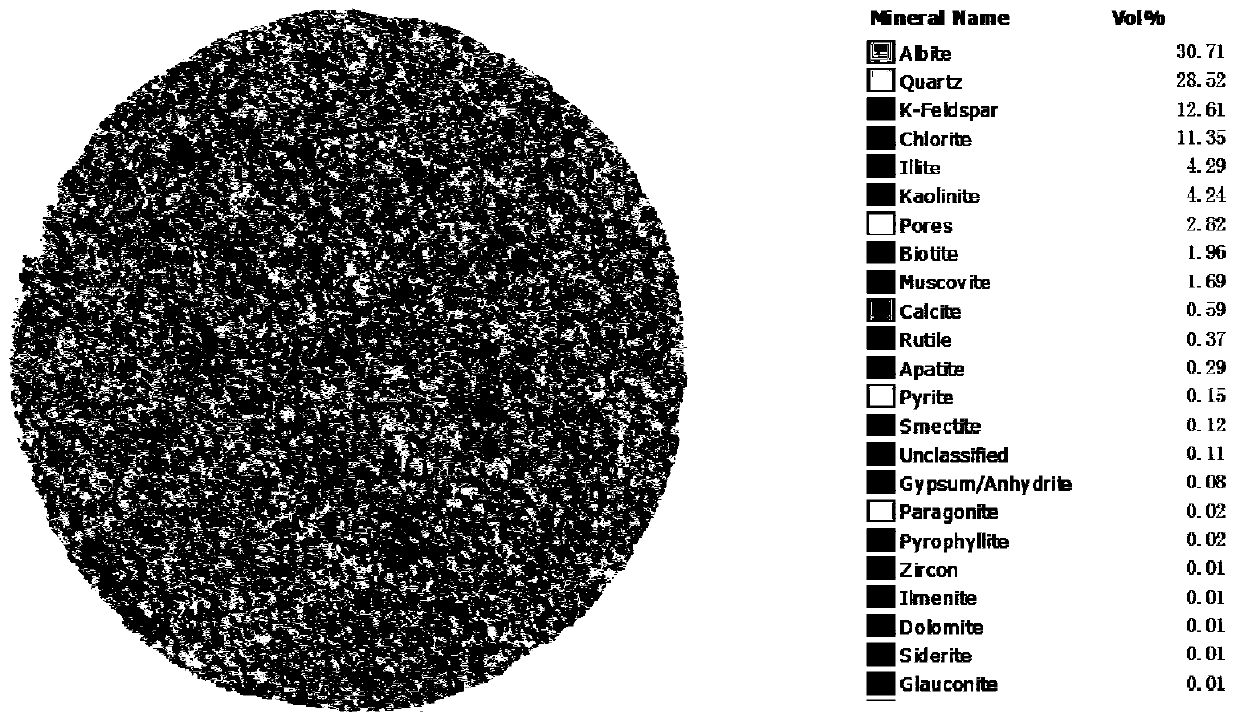 Multi-component 3D digital core construction method based on multi-source information fusion