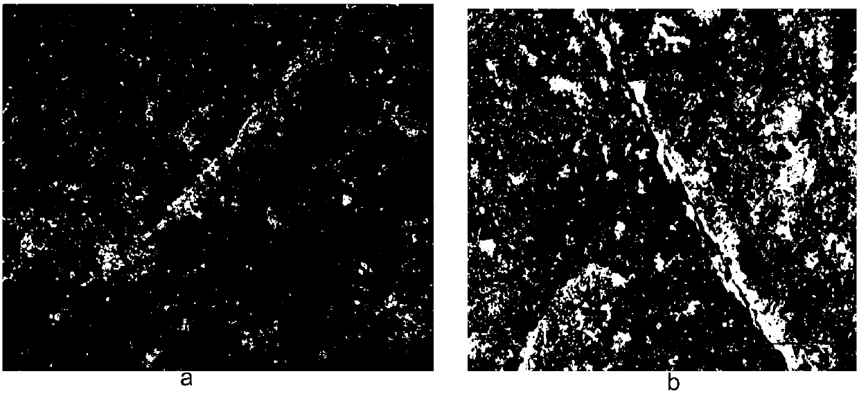 Preparation method of heavy metal ion remover