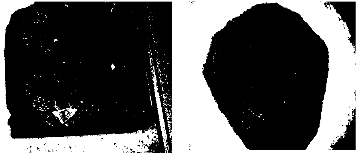 Preparation method of heavy metal ion remover