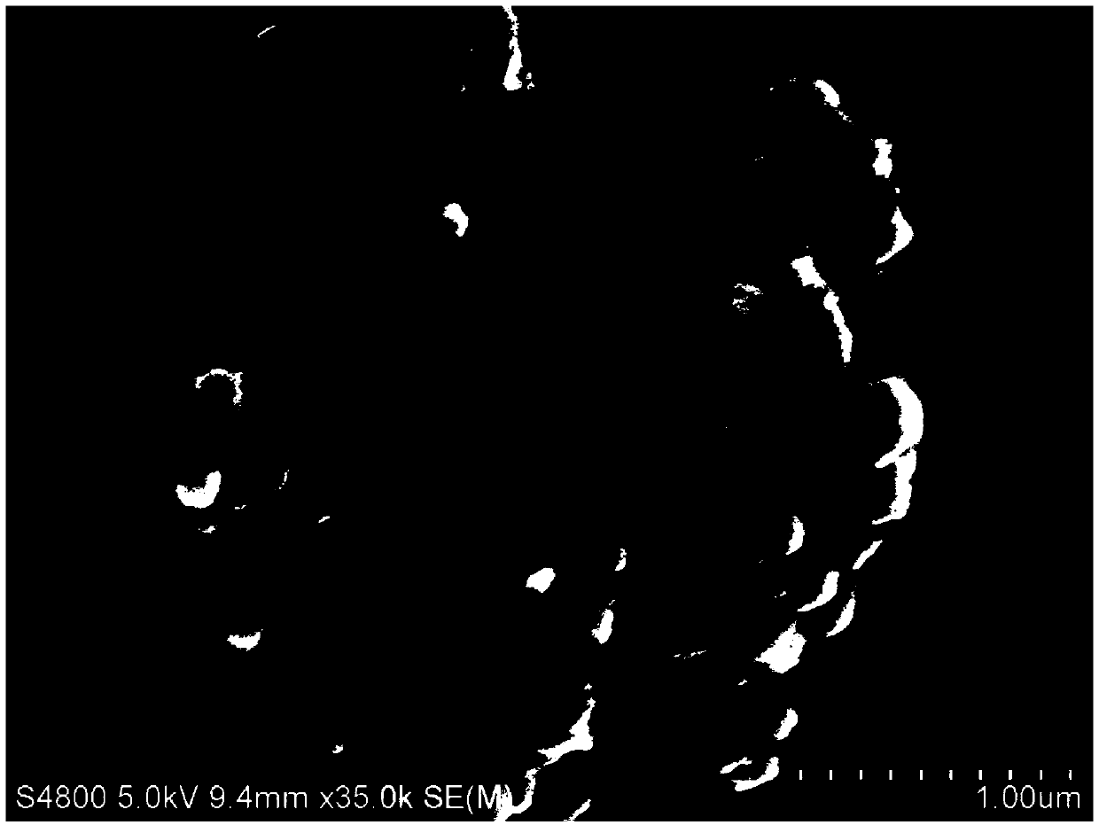 ZIF-8@FeMOF derived Fe-N codoped carbon material, and preparation method and application of material