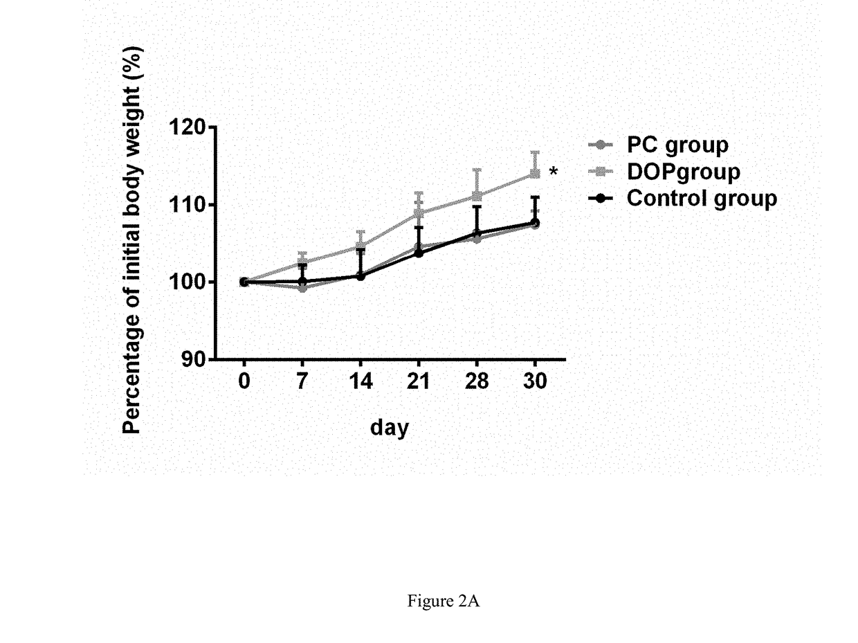 Use of polysaccharide in Dendrobium officinale for anti-fatigue