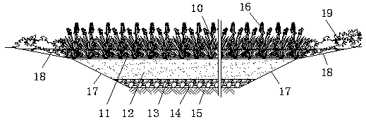 Sponge wetland system