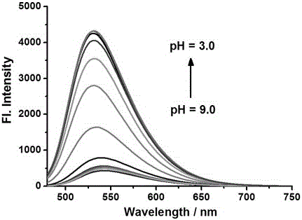 Fluorescence probe for detecting pH of lysosome in cancer cells