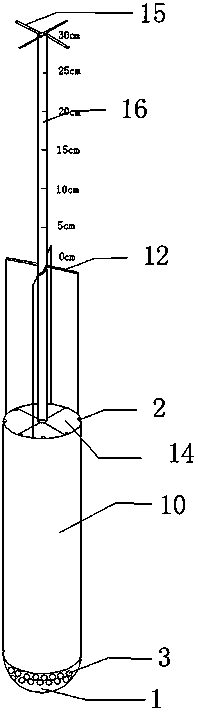 Quantitative compost sampling device and sampling method thereof