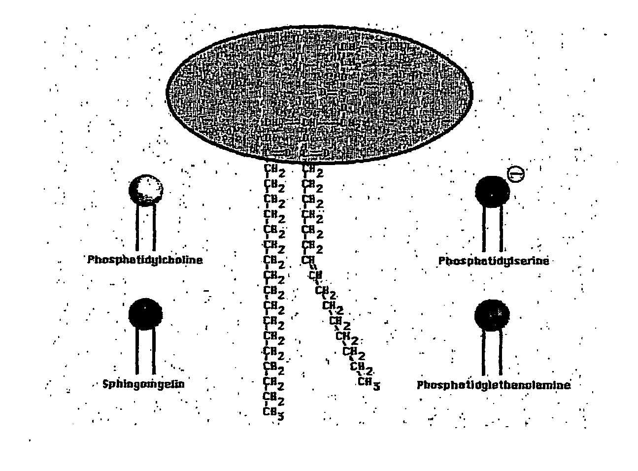 Treatment of Cancer and Other Diseases