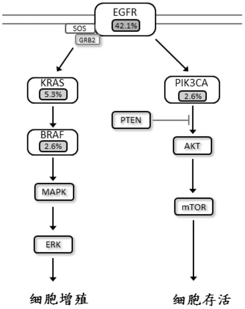 Cancer detecting method, kit and application thereof