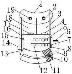 Pesticide mixing and spraying device for agriculture