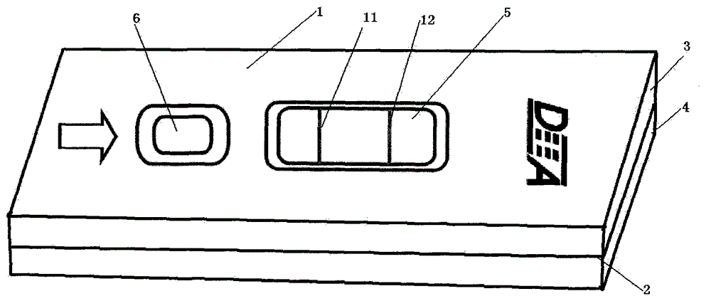 Test paper card for testing Brucella antibody through sandwich method