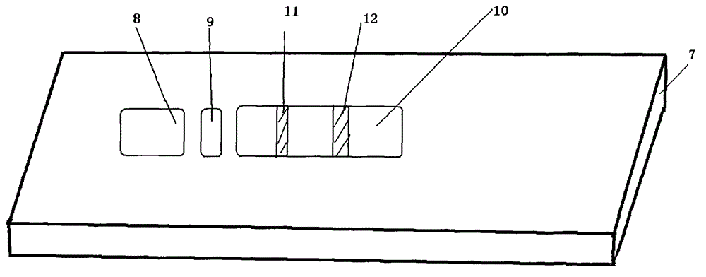 Test paper card for testing Brucella antibody through sandwich method