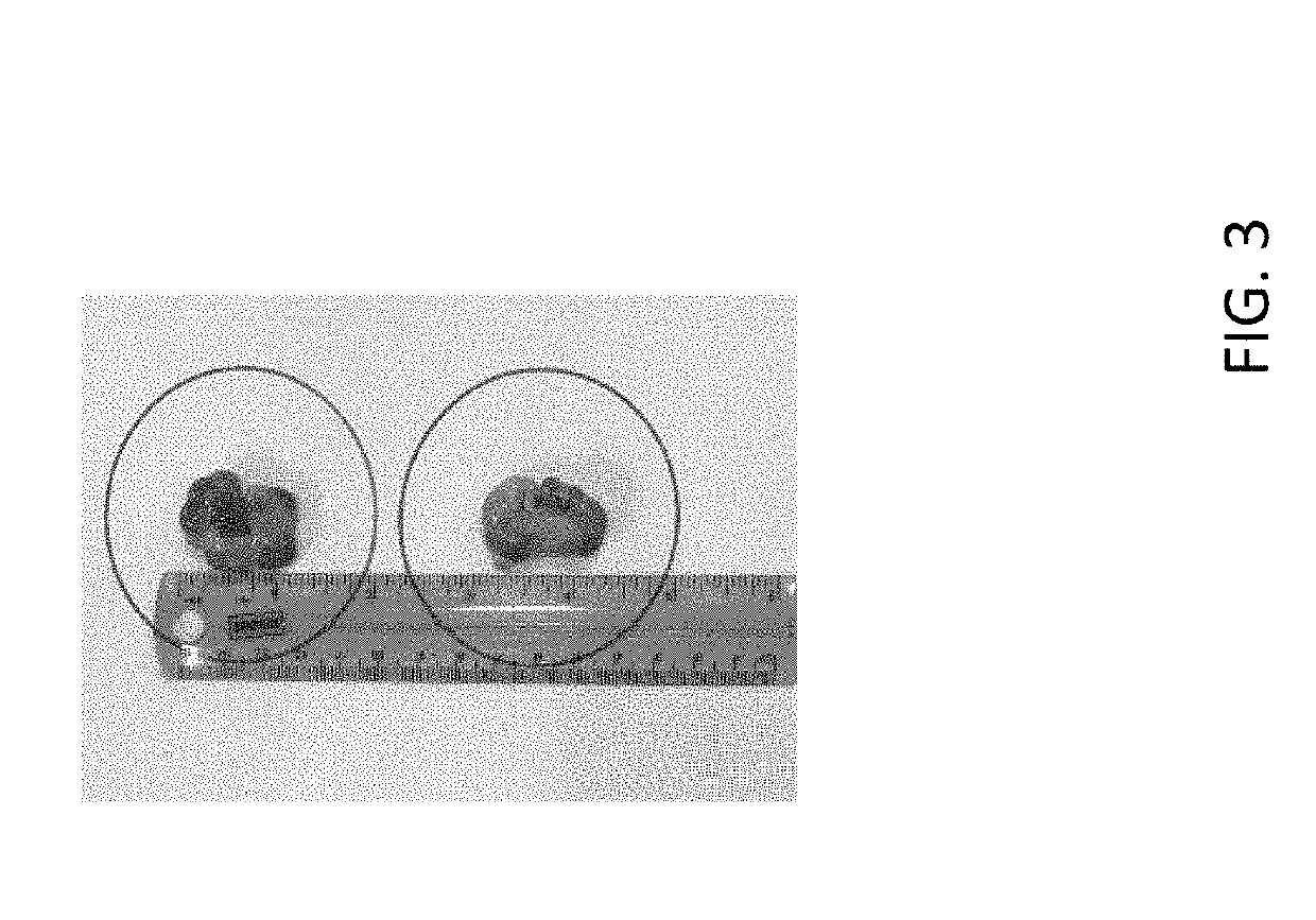 Pheromone compositions for stimulating early onset of estrus and reducing labor needs in breeding peri-pubertal suids and methods of use