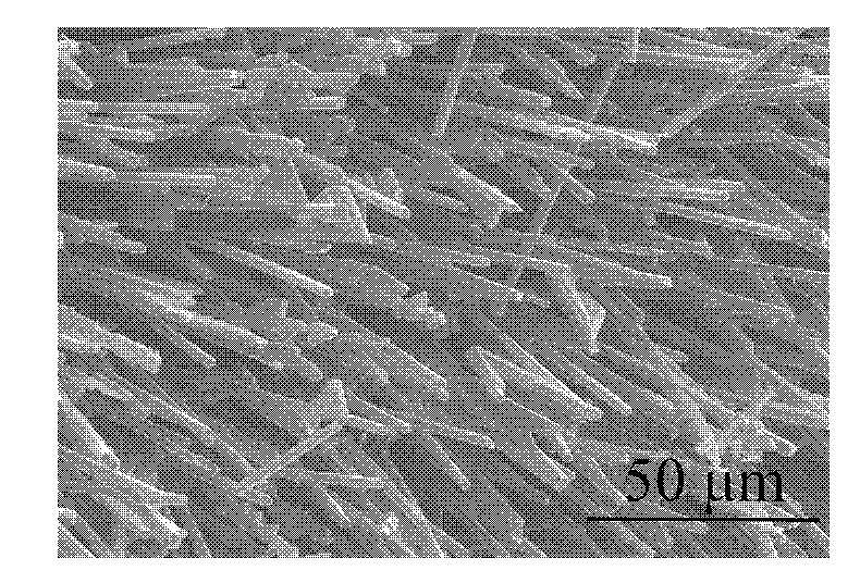 Aluminum nitride solid-state laser and preparation method thereof