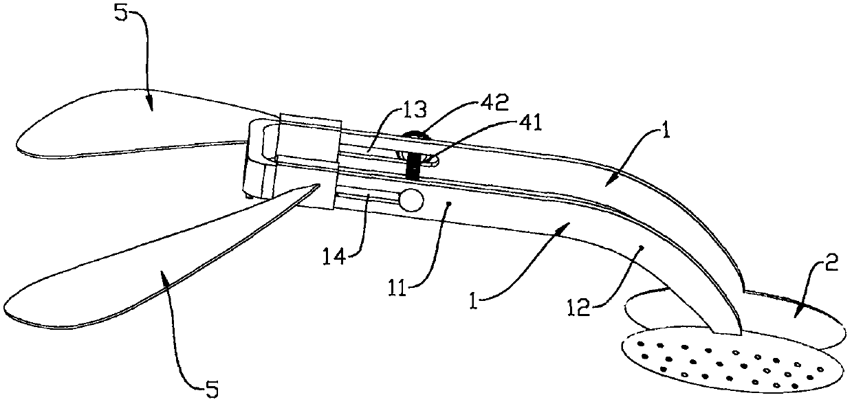 Female urethral orifice exposure device