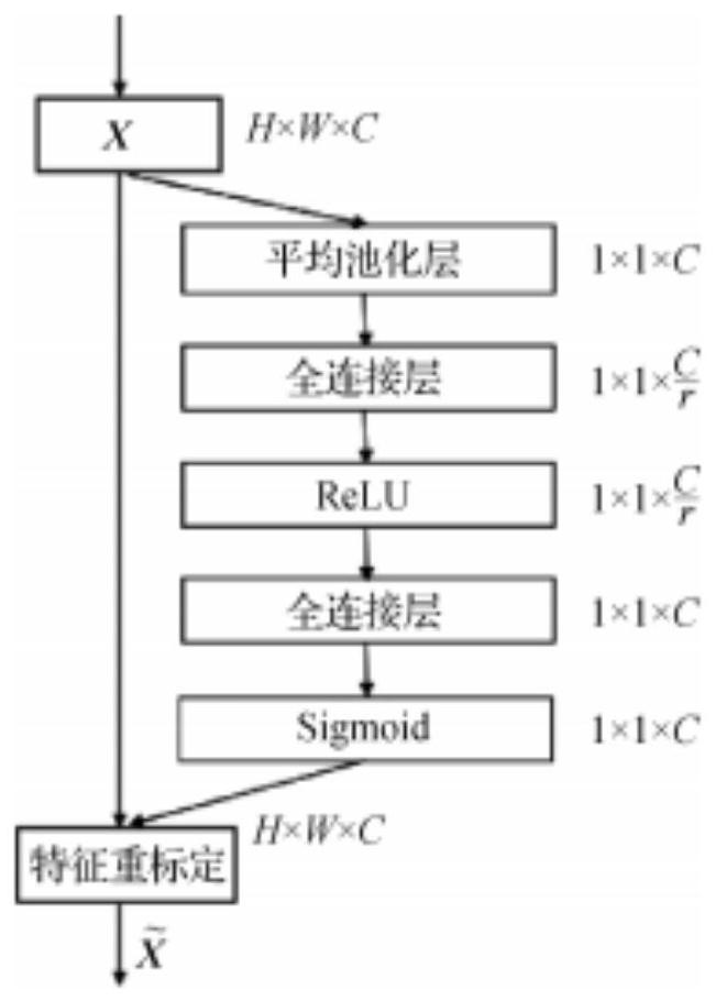 Thyroid ultrasound image classification and segmentation network, training method, device and medium