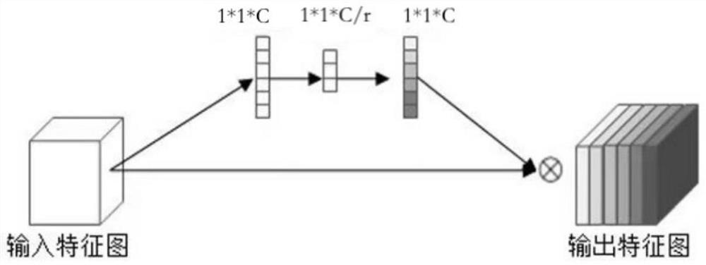 Thyroid ultrasound image classification and segmentation network, training method, device and medium